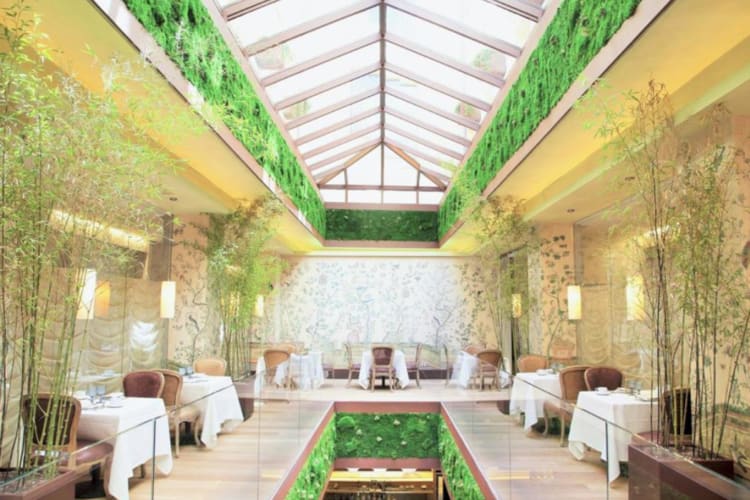 The Green House